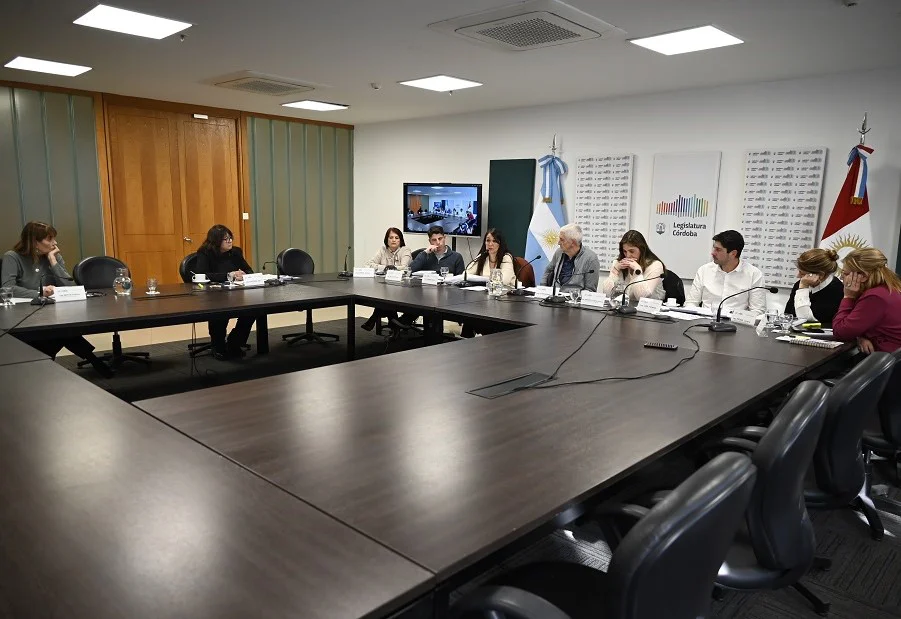 Debate en Comisión (Legislatura de la Provincia)