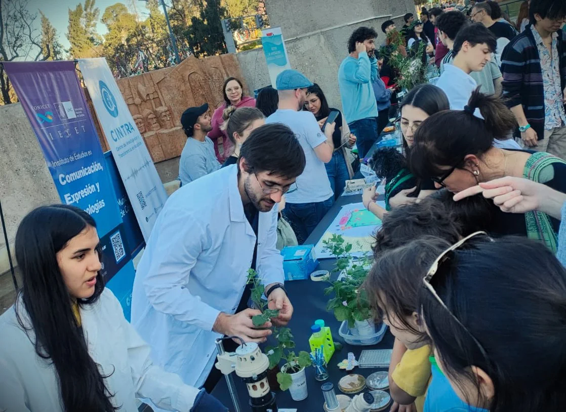 ConiFest 2025 (gentileza) 03