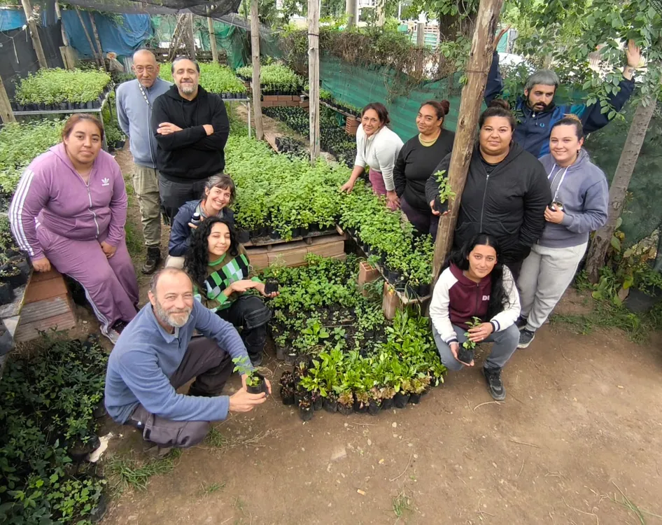Proyecto Salva (La Morera y Flor de Laburo) 01
