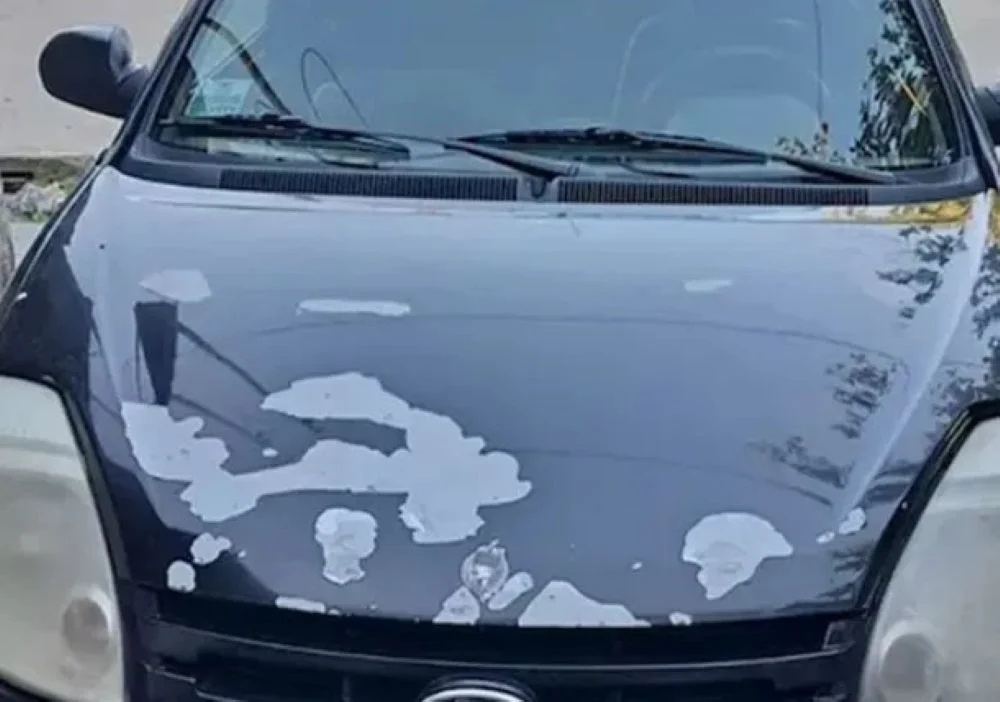 El Ford Ka negro utilizado por el femicida