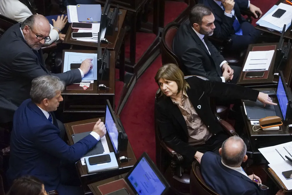 Senado Bulrrich by na