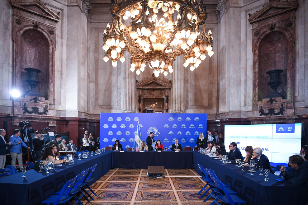 Dictamen favorable para la reforma de la Ley de Salud Mental (Senado)